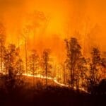 10 Forgotten Tragedies: Lesser-Known Disasters To Remember