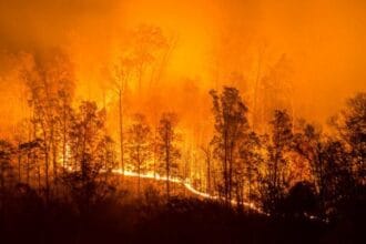 10 Forgotten Tragedies: Lesser-Known Disasters To Remember