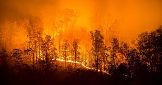 10 Forgotten Tragedies: Lesser-Known Disasters To Remember