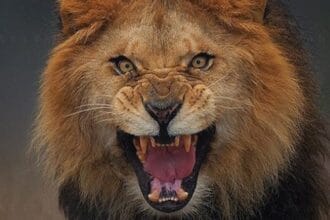 10 Famous Writers & Artists With Unusual Pets!