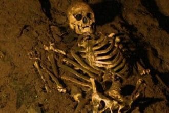 Ancient DNA: Top 10 Mind-Blowing Test Results