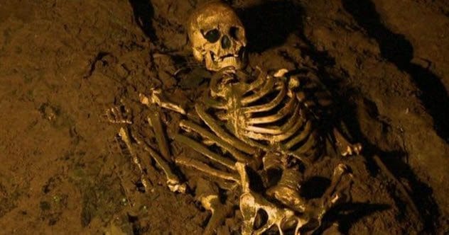 Ancient DNA: Top 10 Mind-Blowing Test Results