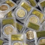 10 Amazing Backyard Finds You Won't Believe!