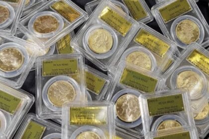 10 Amazing Backyard Finds You Won't Believe!