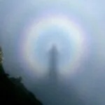 True Tales: 10 Real Stories Surpassing Famous Myths