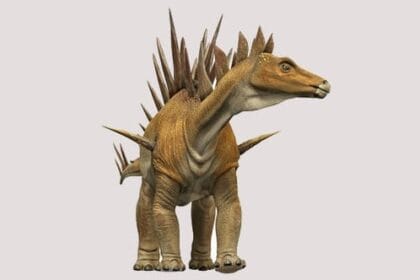 Top 10 Hilariously Named Scientific Discoveries