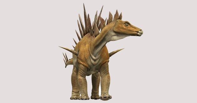 Top 10 Hilariously Named Scientific Discoveries