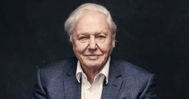 Attenborough's Top 10 Unforgettable Wildlife Moments