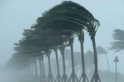 10 Weird Things Hurricanes Left Behind