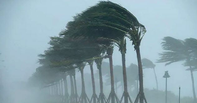 10 Weird Things Hurricanes Left Behind