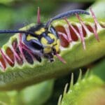 10 Crazy Inventions: Shockingly Useful Gadgets!