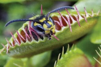 10 Crazy Inventions: Shockingly Useful Gadgets!