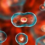 Top 10 Medical Breakthroughs of the 21st Century