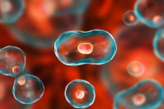 Top 10 Medical Breakthroughs of the 21st Century