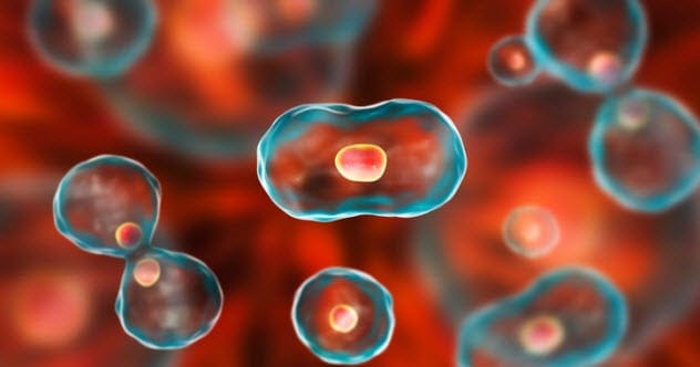 Top 10 Medical Breakthroughs of the 21st Century