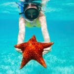 Top 10 Animals With Incredible Regeneration Powers