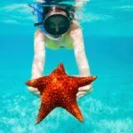Top 10 Animals With Incredible Regeneration Powers