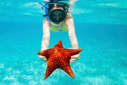 Top 10 Animals With Incredible Regeneration Powers