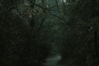 World's 10 Spookiest Forests: True Horror & Mystery Awaits