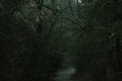 World's 10 Spookiest Forests: True Horror & Mystery Awaits