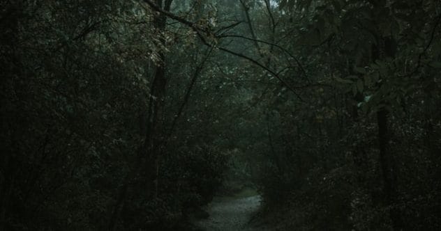 World's 10 Spookiest Forests: True Horror & Mystery Awaits