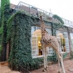 Out of This World: 10 Unique Hotel Rooms You Won't Believe