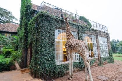 Out of This World: 10 Unique Hotel Rooms You Won't Believe