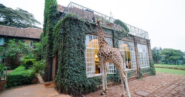 Out of This World: 10 Unique Hotel Rooms You Won't Believe