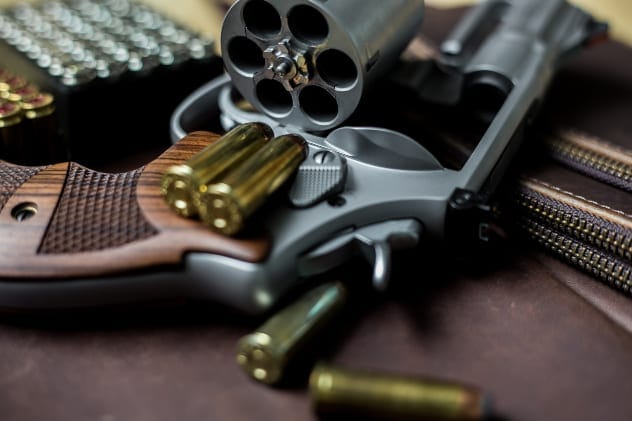 Gun