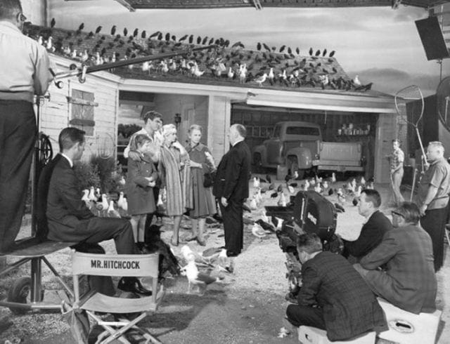 Alfred Hitchcock directing birds on the set of The Birds