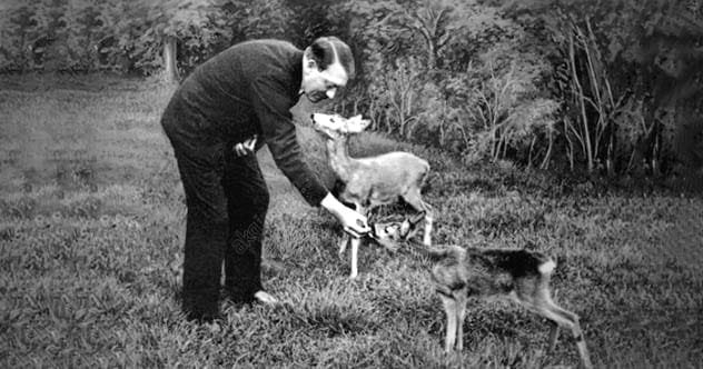 Adolf Hitler with a deer