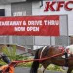 Top 10 Ridiculous News Stories That Actually Happened