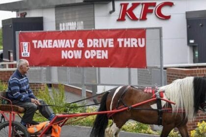 Top 10 Ridiculous News Stories That Actually Happened