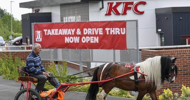 Top 10 Ridiculous News Stories That Actually Happened