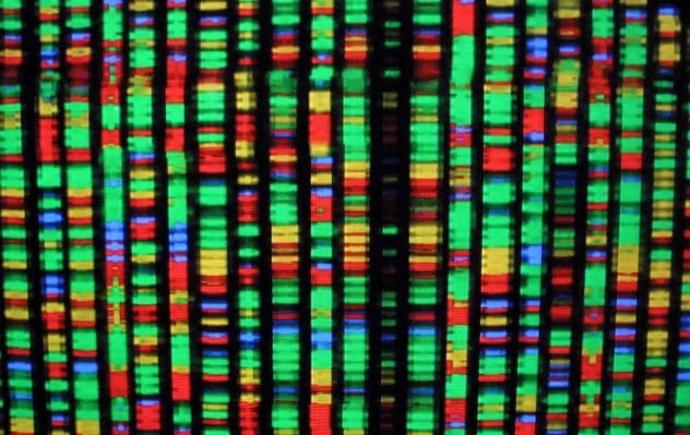 Cracking the Human Genome