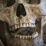 10 Times Teeth Solved Crimes: Amazing Forensic Dentistry Cases