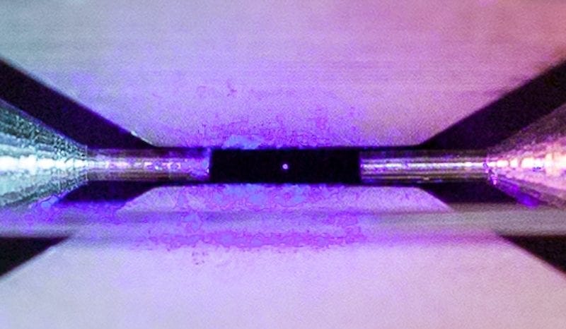 Trapped Atom image