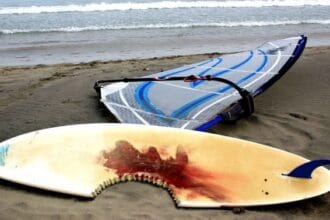 Shark Attack Survivors: 10 Tales of Narrow Escapes