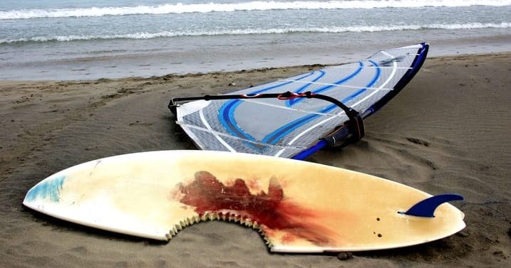 Shark Attack Survivors: 10 Tales of Narrow Escapes