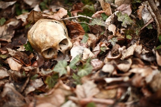 Historic European town street, similar to where Benjamin Bathurst vanished