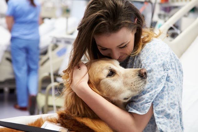 Cancer sniffing dog