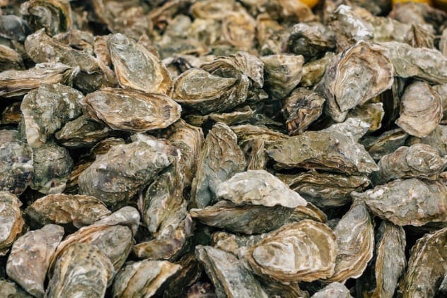 Oysters Removing Nitrogen