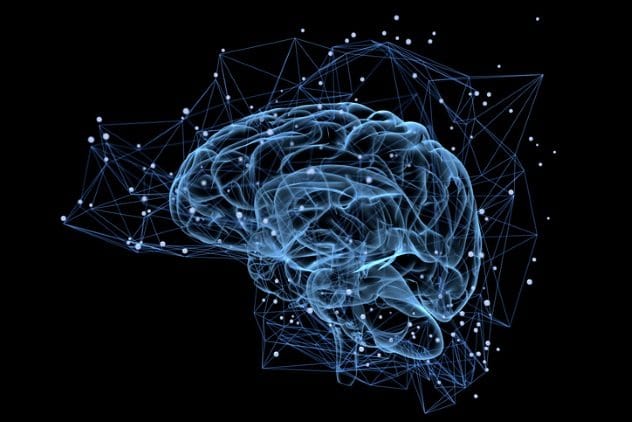 Brain processing information during sleep
