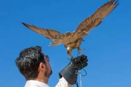 10 Unexpected Ways Animals Are Helping Humans Thrive