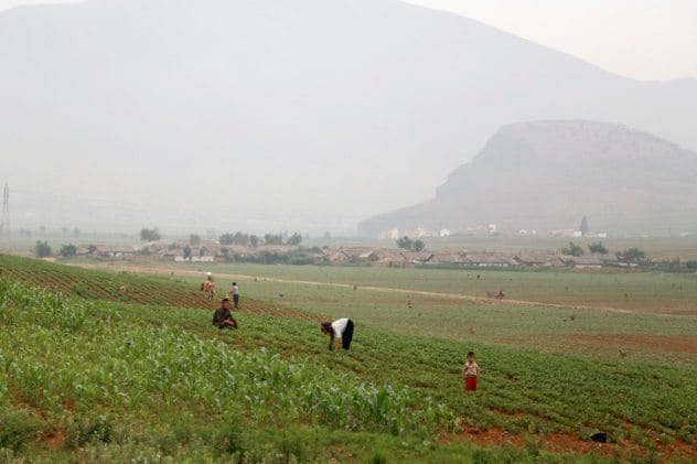 Fertilizer, representing the forced poop collection in North Korea