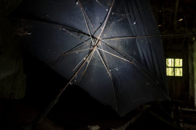 Person holding an umbrella in the rain