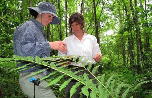 Scientists discussing data