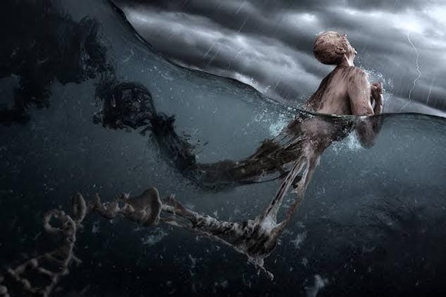 Primordial soup