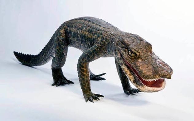 Crocoduck