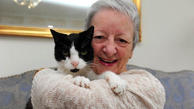 Cat detecting cancer